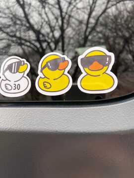 Three Duck Stickers