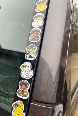 Five Duck Stickers